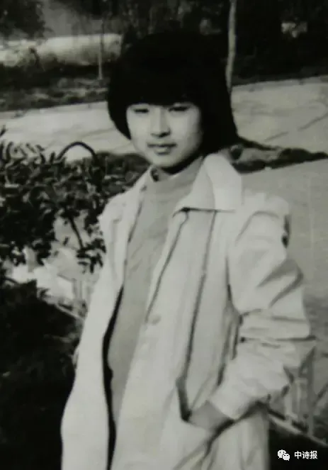 1980年田晓菲