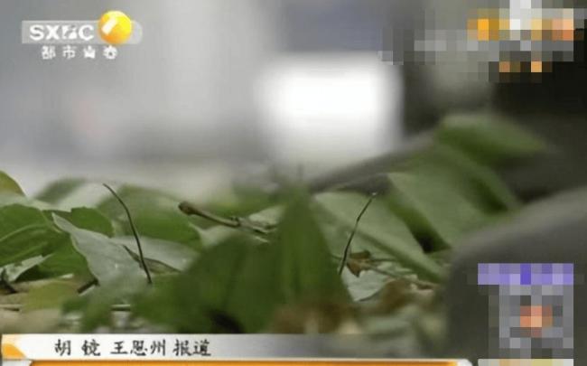 2014年一家四口在华山跳崖，留下2个月大的女儿