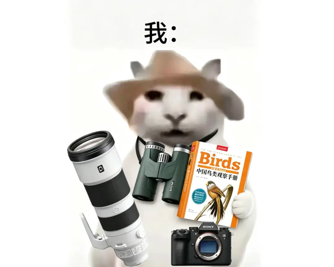 〓 图源：小红书@八奥
