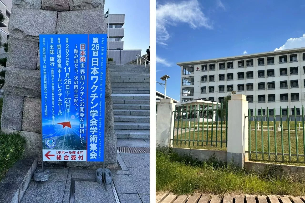 “上岸了”,5位中国年轻人在国外做公务员 “上岸了”,5位中国年轻人在国外做公务员