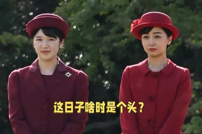 文章配图-4