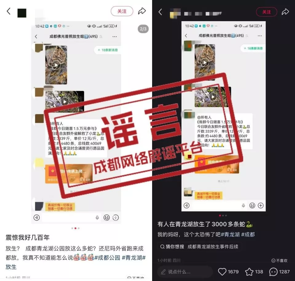 有人在成都青龙湖放生3000条蛇？回应来了