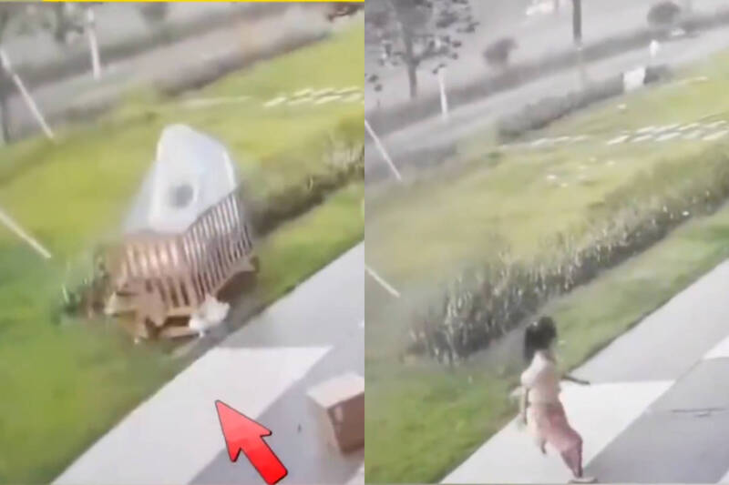 中国广东深圳1名6岁女童被强风连人带床卷走后,从草地自行爬起跑回室内。(本报合成,撷取自微博) 中国广东深圳1名6岁女童被强风连人带床卷走后,从草地自行爬起跑回室内。(本报合成,撷取自微博)