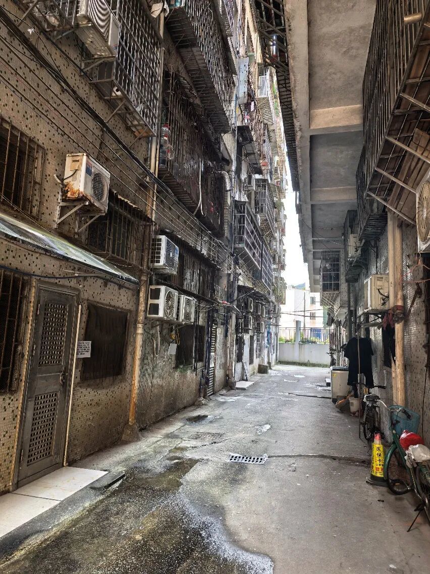 “梅姨”隐匿轨迹曝光：很少聊家事 戴口罩 摆摊卖芒果